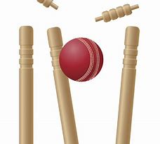 Image result for Cricket Stump Pic