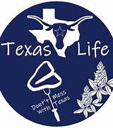 Image result for Texas Life Logo