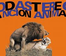 Image result for Canción Animal