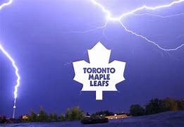 Image result for Leafs Lightning Funny