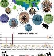 Image result for Threatened Species in New Mexico