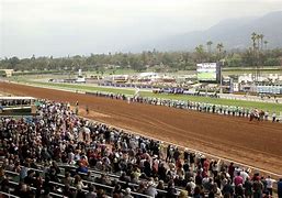 Image result for Horse Racing Santa Anita