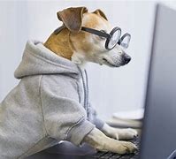 Image result for Dog Typing On Keyboard