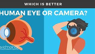 Image result for iPhone vs Real Camera