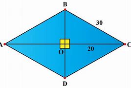 Image result for Rhombus Shape Examples