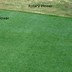 Image result for Gas Powered Reel Mower
