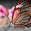 Image result for Phone Wallpaper HD Butterfly