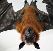 Image result for Fake Bats