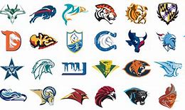 Image result for Alternate NFL Team Logos