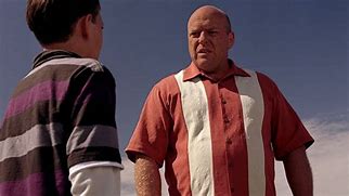 Image result for Hank Schrader Outfit