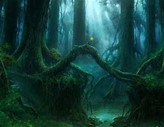 Image result for Mystical Forest HD