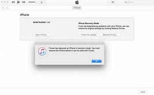 Image result for iPhone Is Disabled