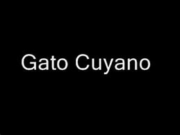 Image result for cuyano