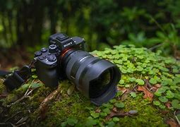 Image result for Sony Alpha 1