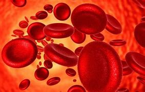 Image result for anemia
