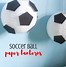 Image result for Kids Soccer Birthday Party