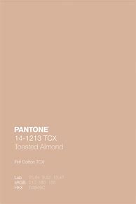 Image result for Almond Pantone