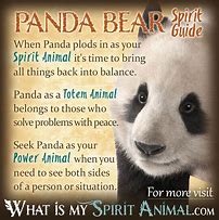 Image result for Panda Spirit Animal