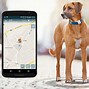 Image result for Find My iPhone Tracking Dog