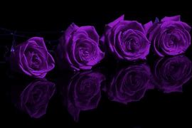 Image result for Purple Glitter Rose Wallpaper