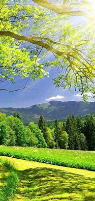 Image result for Nature Wallpaper for Mobile Phone