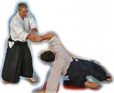 Image result for Aikido Martial Arts