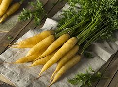 Image result for Ooty Carrot