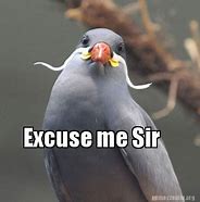 Image result for Excuse Me Sir Meme