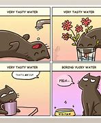 Image result for Funny Bd Photo