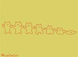 Image result for Eve One Cat
