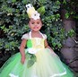 Image result for Disney Princess Tiana Costume
