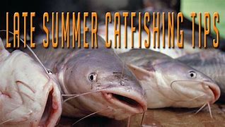 Image result for Catfishing in the Summer