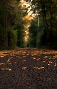 Image result for Nature Blur Wallpaper