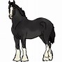 Image result for Black Horse Breeds
