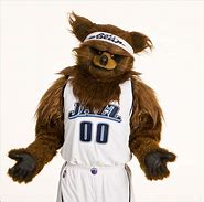 Image result for Utah Jazz Bear