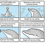 Image result for Dolphins Inherit Earth Humor