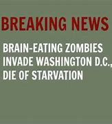 Image result for Bing Images Breaking News Funny