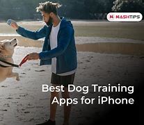 Image result for Dog Training App