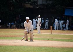 Image result for A Cricket Pitch