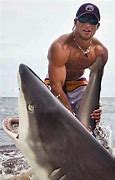 Image result for Shark Wrestling