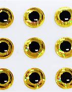 Image result for Fishing Lure Eyes