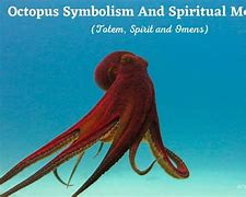 Image result for Octopus Symbolism