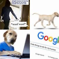 Image result for 100 Dog Memes