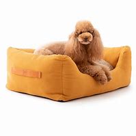 Image result for Cotton Canvas Dog Bed