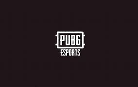 Image result for Pubg eSports Championship Partner Logo