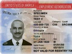 Image result for Work Permit USA