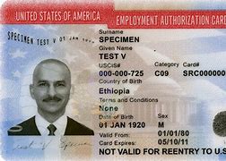 Image result for Work Visa Card Pictrure