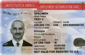 Image result for Work Permit