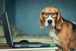 Image result for Dog with Glasses Wallpaper