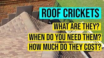 Image result for Cricket for My Roof